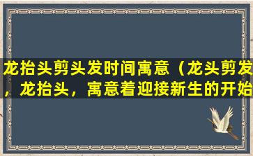 龙抬头剪头发时间寓意（龙头剪发，龙抬头，寓意着迎接新生的开始 | 洗头迎接新的一天）
